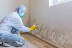 Best Forensic Mold Investigation in Shillington, PA